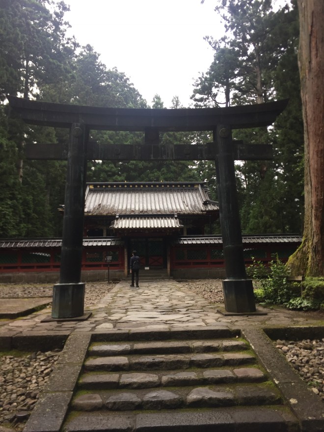 C84B5A07-1059-4709-954D-227DCEF09354