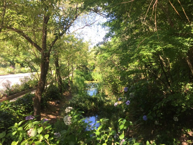 FCD1ED16-6B13-497D-ACB8-46E990ECE9A1