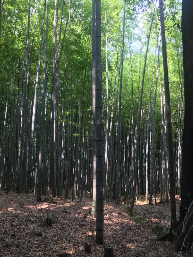 C070DEE5-F87C-4811-AC82-8A33682BE8B8