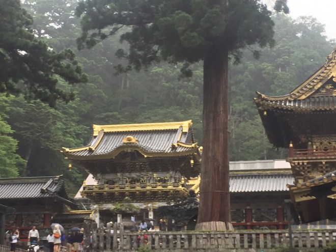 17B0DD12-95EE-4AA1-A0FD-3B66AE84785C