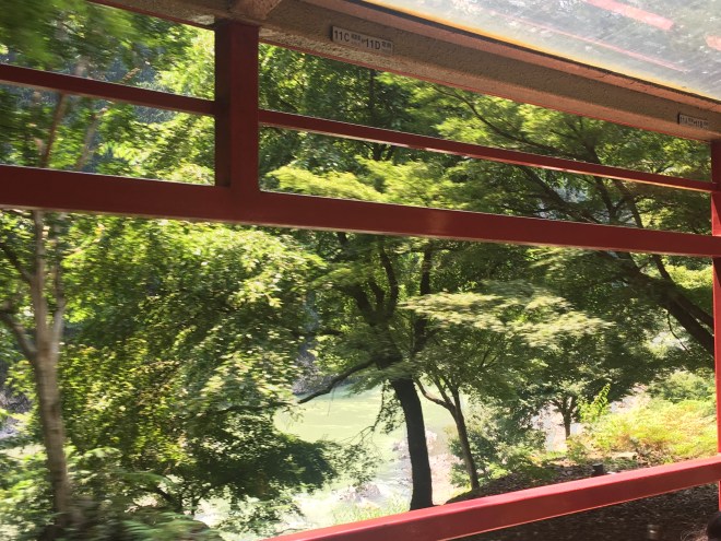 D364F2A0-FF51-42A4-A979-980D5672B621