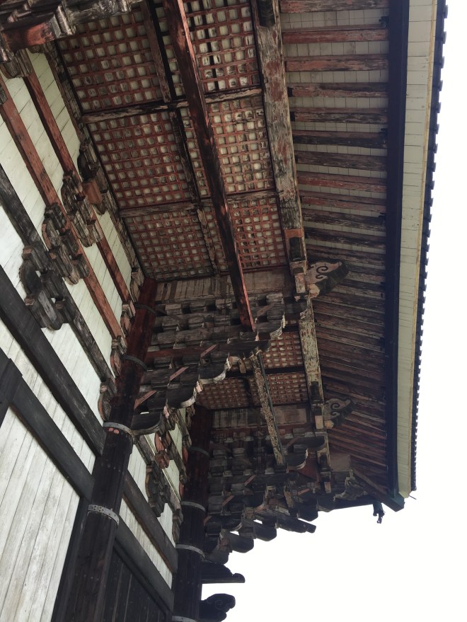 79125641-F5BD-403A-9182-3AF14DECD6B5