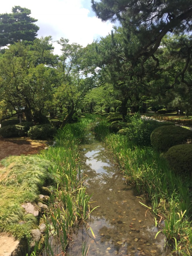 D23AF6FF-A04A-48C8-844F-D2FB6070856E