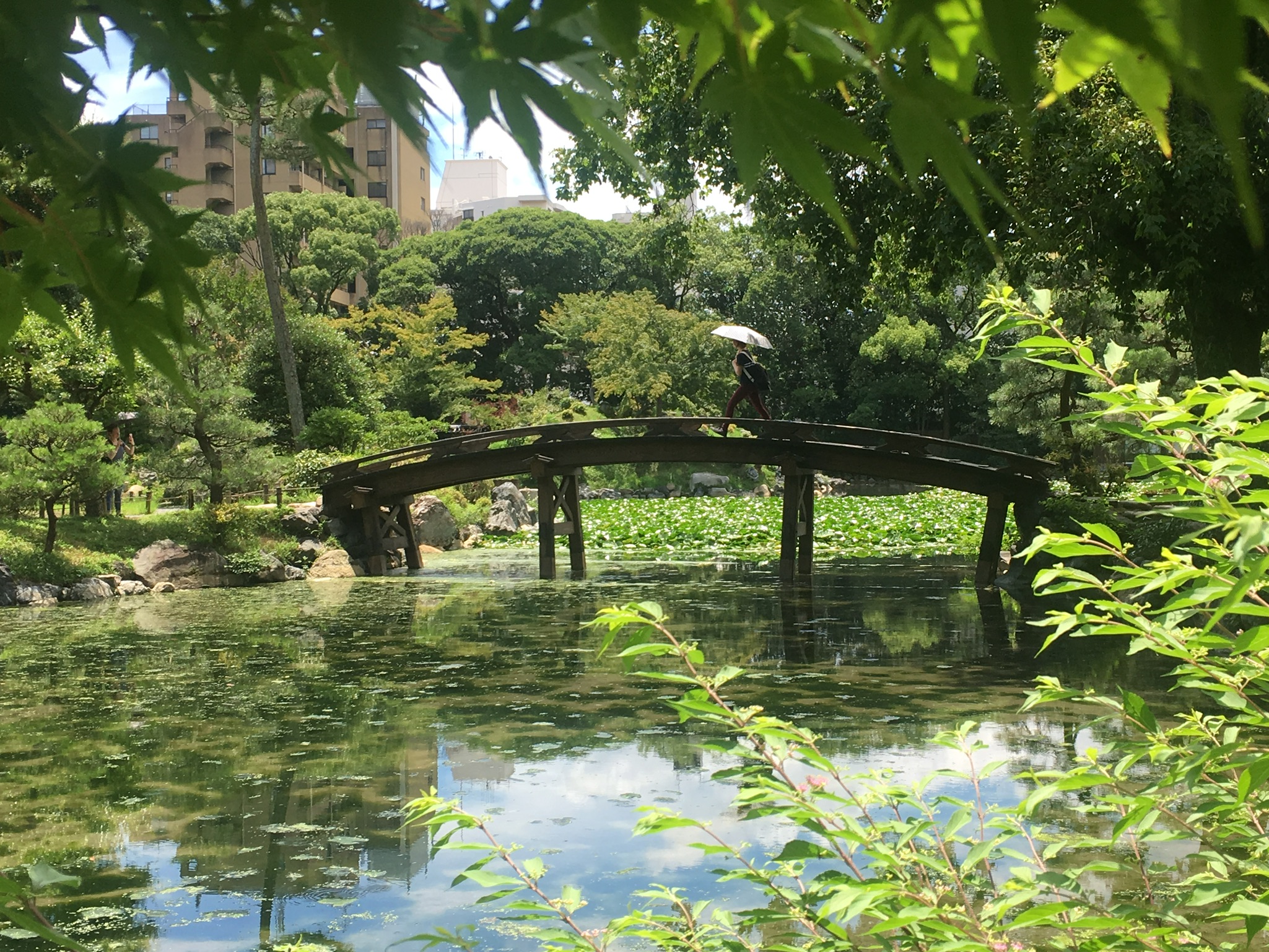 62102A68-AB1B-432F-AD8C-721F5F91093B