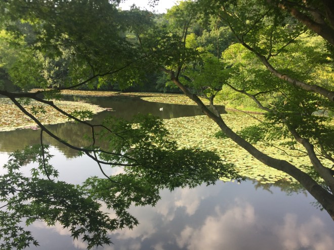 9169FB60-0729-4398-A994-883643DC7302