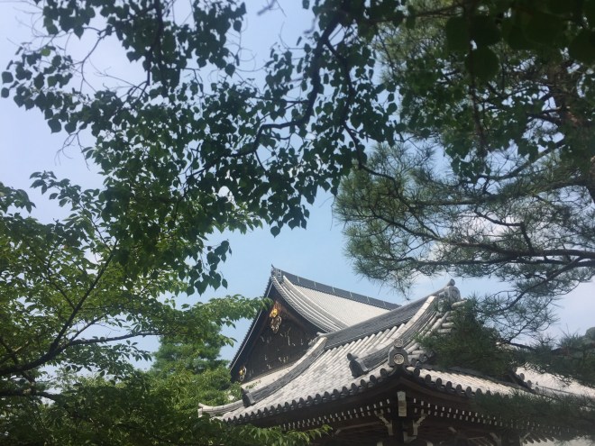 00ACD471-3CF6-4D2F-86DE-5E882BF30D92