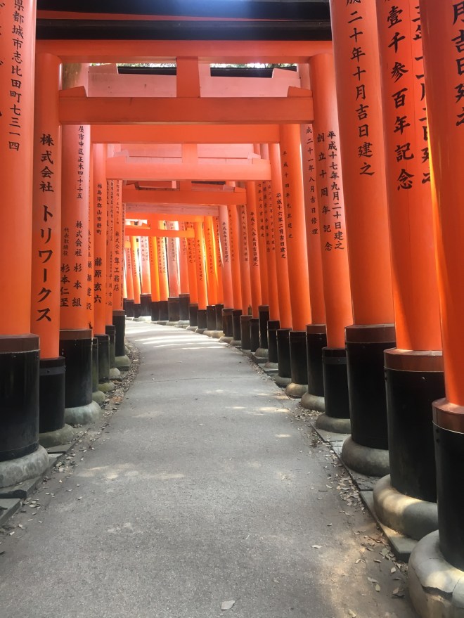 C5E2EEF7-B550-4CCF-86D4-EFAF9B5B475C