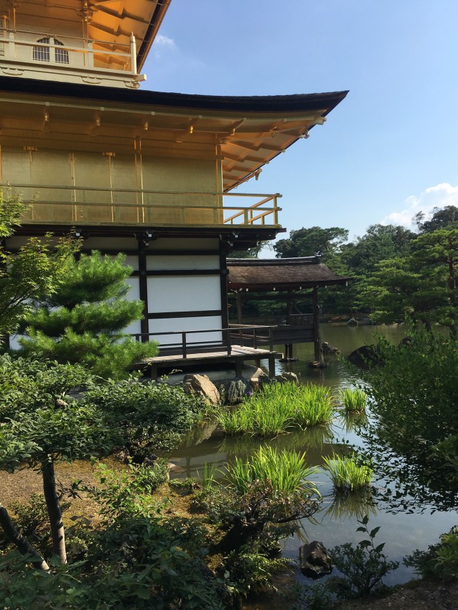 F22EBFE2-C351-4778-9BFE-23D5B046D858