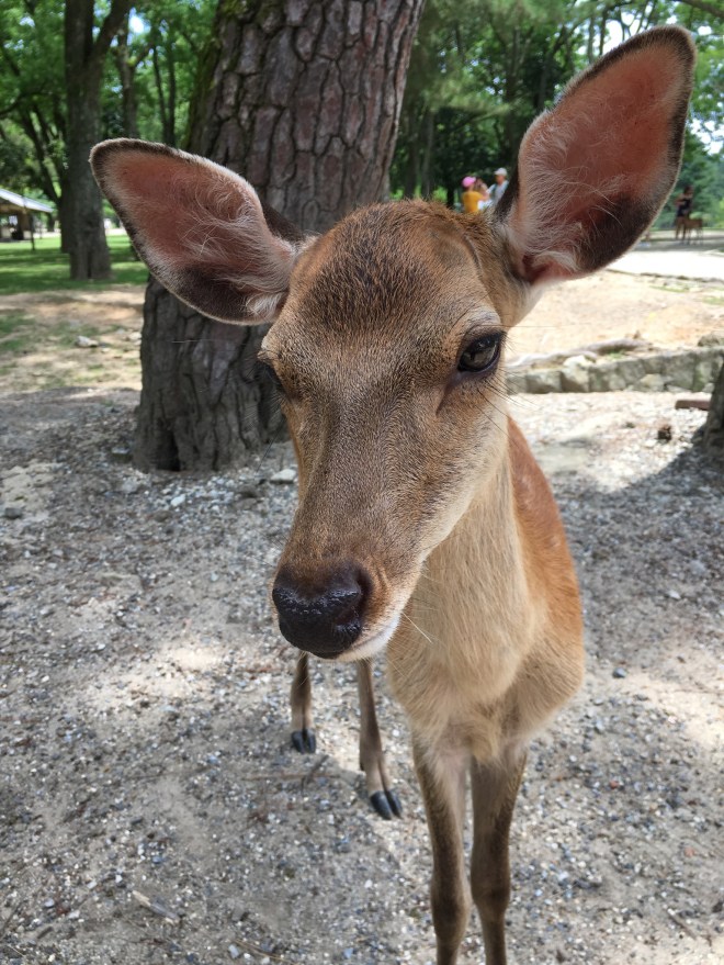 1DED5406-A214-4EB2-AB49-2E400F13A059