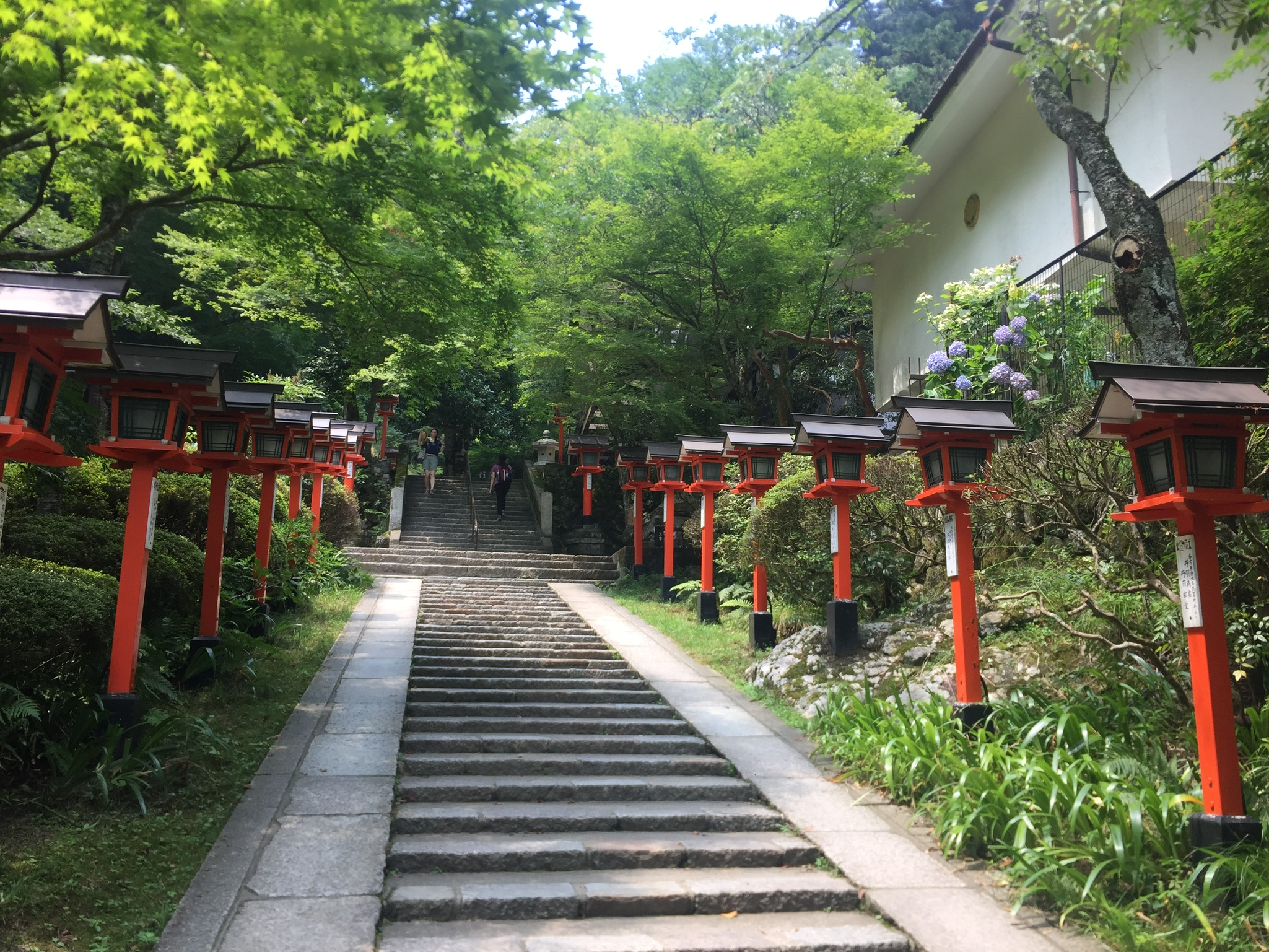 9F431A94-52AF-4392-8F56-58D1863A0A94