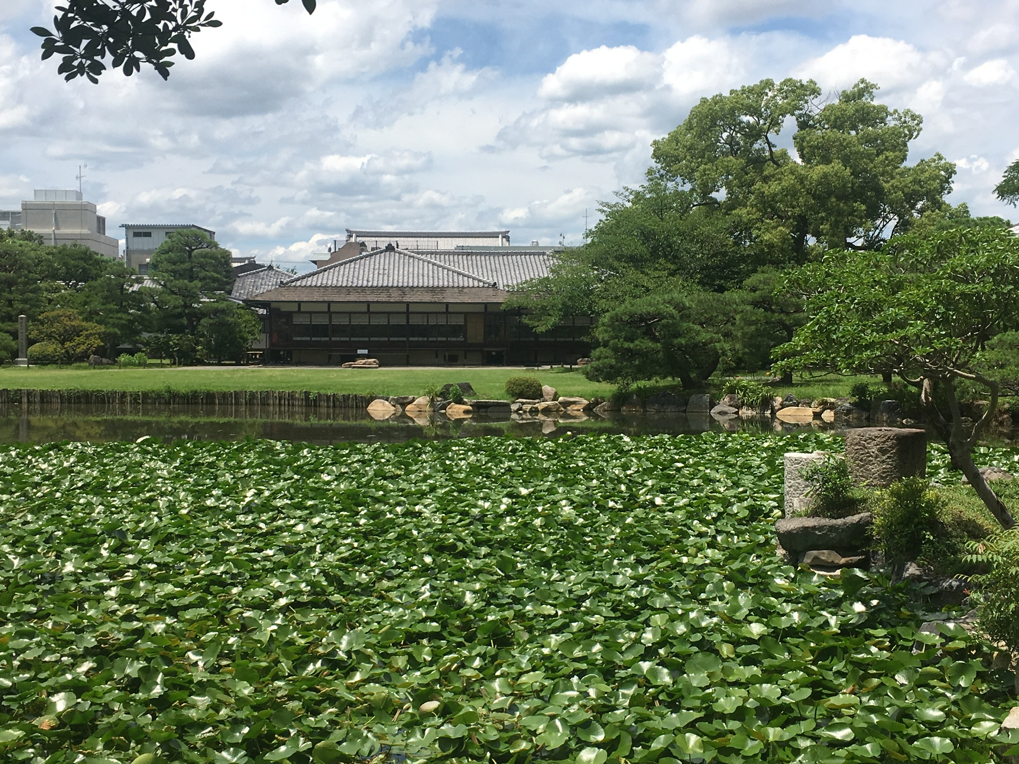 476A91D2-9ABC-4483-8EC4-83771C732A12