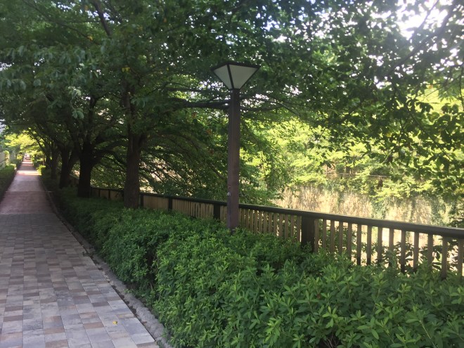 250CCB11-EE90-4DD9-AC9C-CEECEDD7B39C