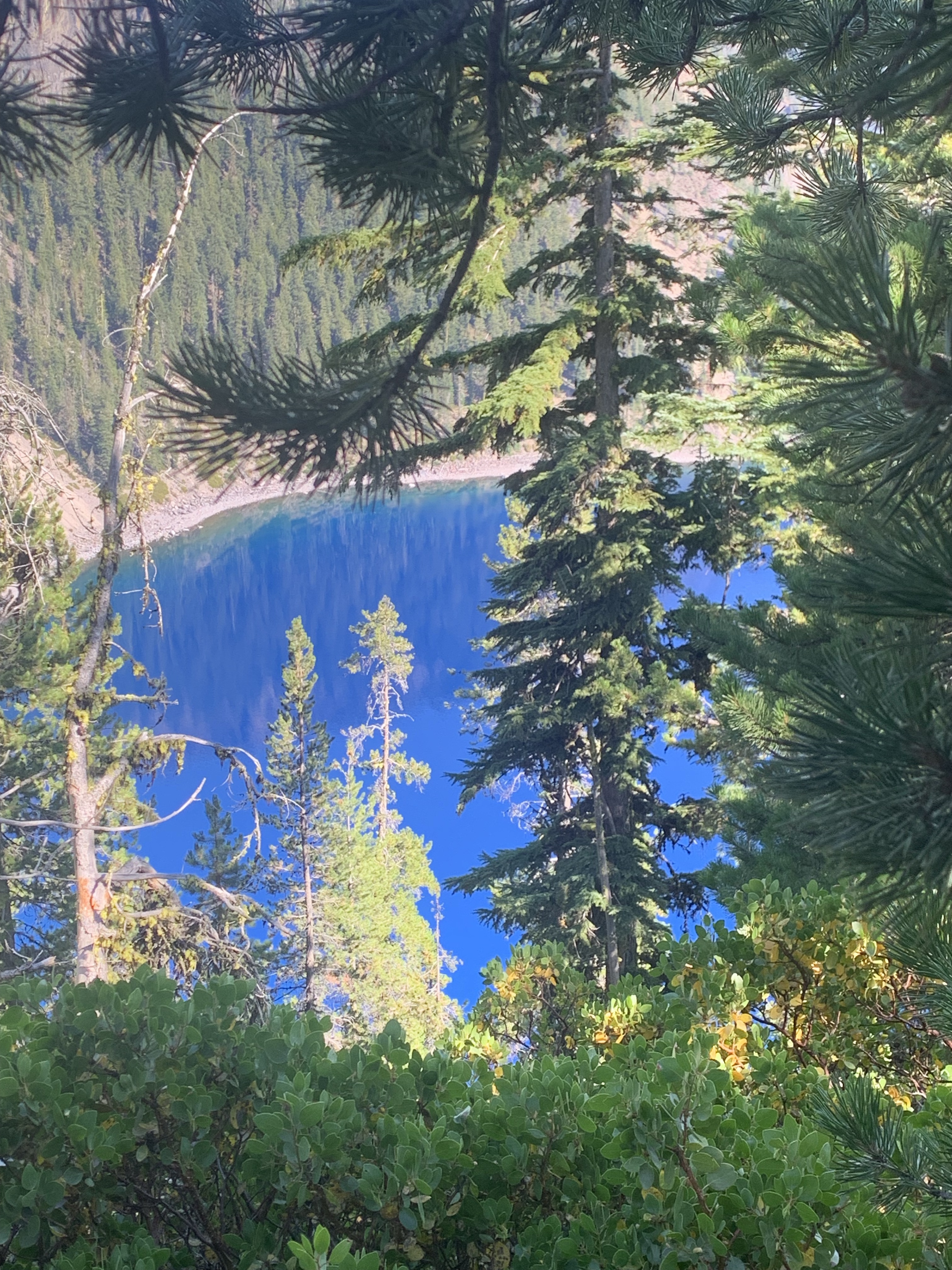 « L’Oregon , c’est au-dessus de la Californie », part 3: Crater Lake